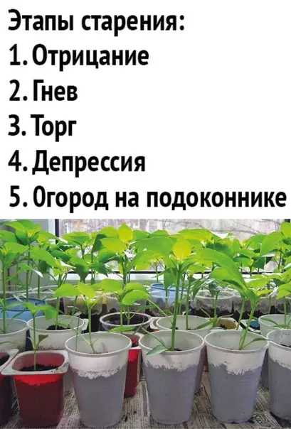 Смешная картинка №492178 ??????