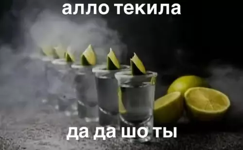 Алло, текила! 🍋🥃 - алло текила да да шо ты