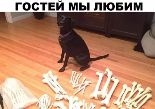 Смешная картинка №310631