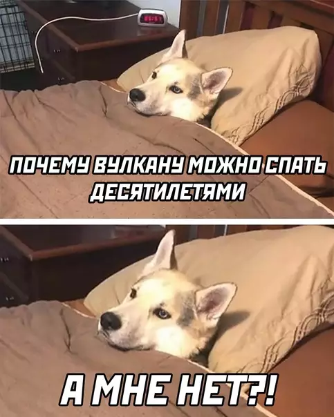 Смешная картинка №571607