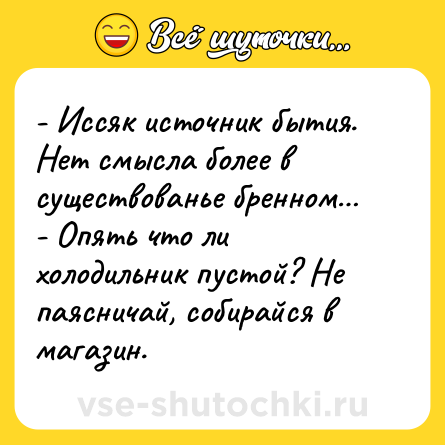 Шутка: - Иссяк источник бытия. Нет смысла более в существованье бренном… - Опять что ли холодильник пустой? Не паясничай, собирайся в магазин.