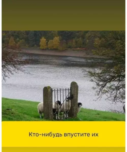 Смешная картинка №686733