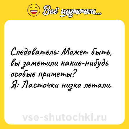 Шутка: Следователь: Может быть, вы заметили какие-нибудь особые приметы?<br>Я: Ласточки низко летали.