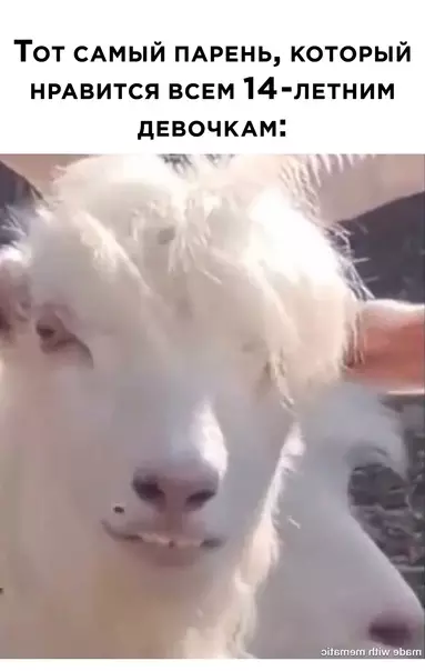 Смешная картинка №599214 парни