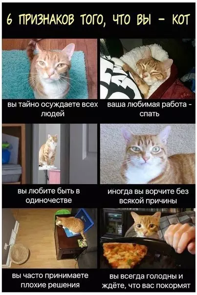 Смешная картинка №248039