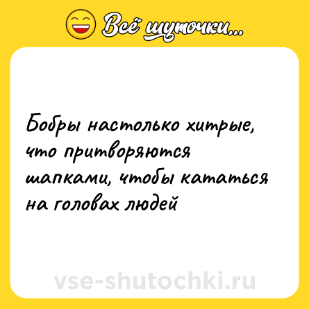 Шутка: Бобры настолько хитрые, что притворяются шапками, чтобы кататься на головах людей