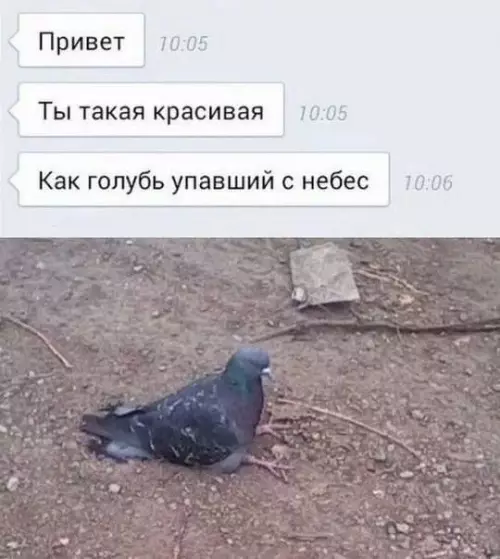 Смешная картинка №694810 Переписка 