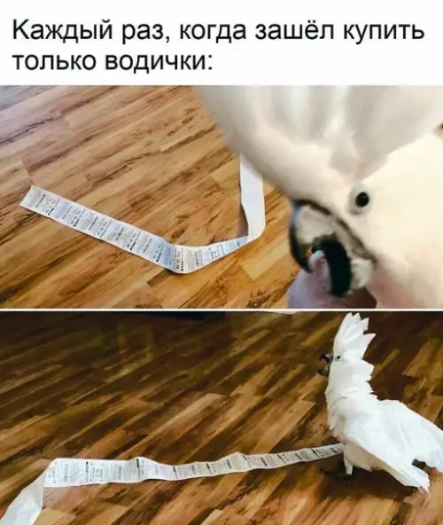Смешная картинка №522463 B итоге забыл водичку