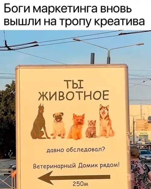 Смешная картинка №681595 Объявления