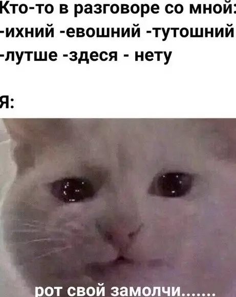 Смешная картинка №510841