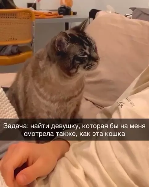 Смешная картинка №542428 Этo любoвь.