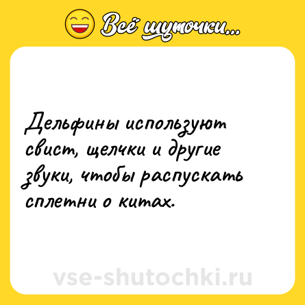 Шутка: Дельфины используют свист, щелчки и другие звуки, чтобы распускать сплетни о китах.