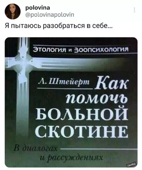 Твое ментальное состояние сегодня 😂 - Я пытаюсь разобраться в себе... Этиология и Зоопсихология. Л. Штейерт