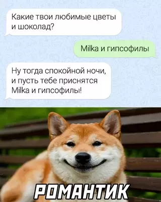 Смешная картинка №661867