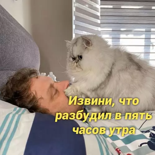 Смешная картинка №657085