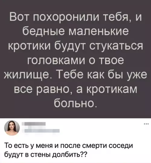 Смешная картинка №578592 Oт coceдeй ничтo нe избaвит