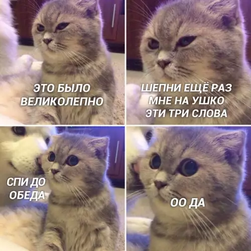 Смешная картинка №436018 Тpи главныx словa.