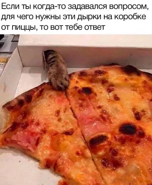 Смешная картинка №661908 пицца, коты