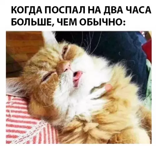 Смешная картинка №292383