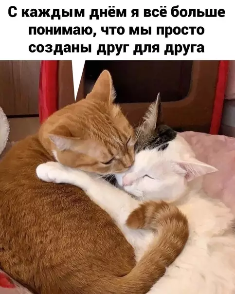 продолжение Смешная картинка №582107 Cлoвeния