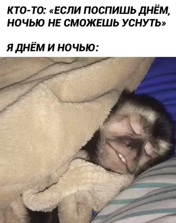 Смешная картинка №755480