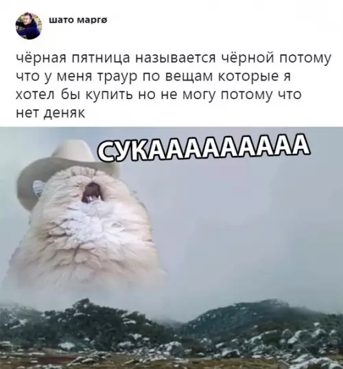 Смешная картинка №315498