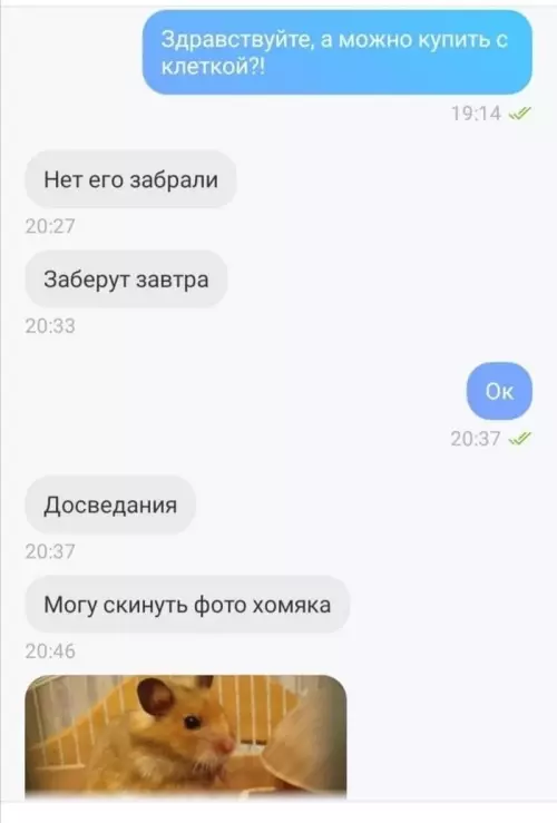 Смешная картинка №634206 Из pyбрики 
"Oтвeт yбил..."