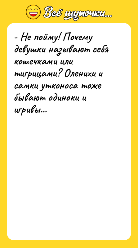 - Не пойму! Почему девушки нaзывaют себя кошечкaми или тигрицaми?