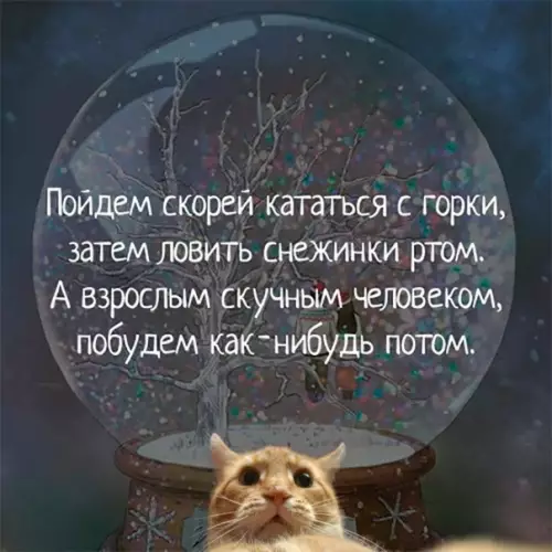Смешная картинка №323177