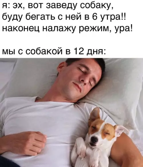 Смешная картинка №692634