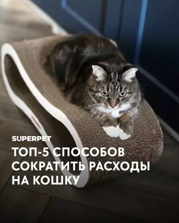 Смешная картинка №764056