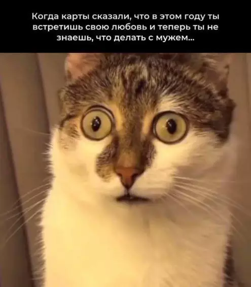 Смешная картинка №746519