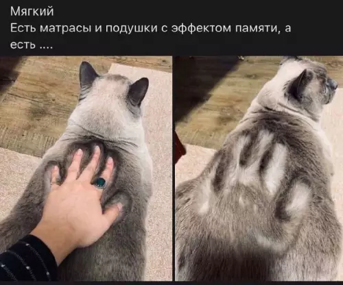 Смешная картинка №696020