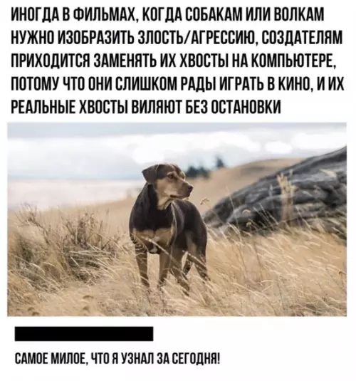Смешная картинка №454579