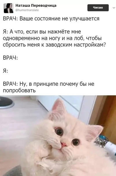 Смешная картинка №472408 Почему бы и нет ?
