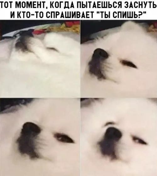 Смешная картинка №303236