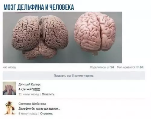 Смешная картинка №280094