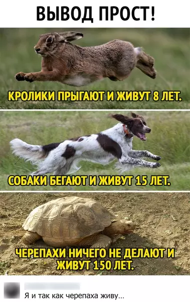 Смешная картинка №527177
