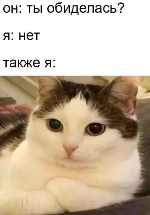 Смешная картинка №706745