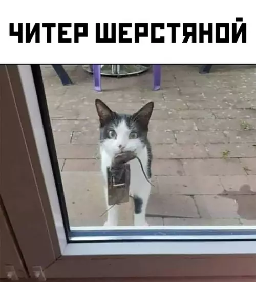 Смешная картинка №565339