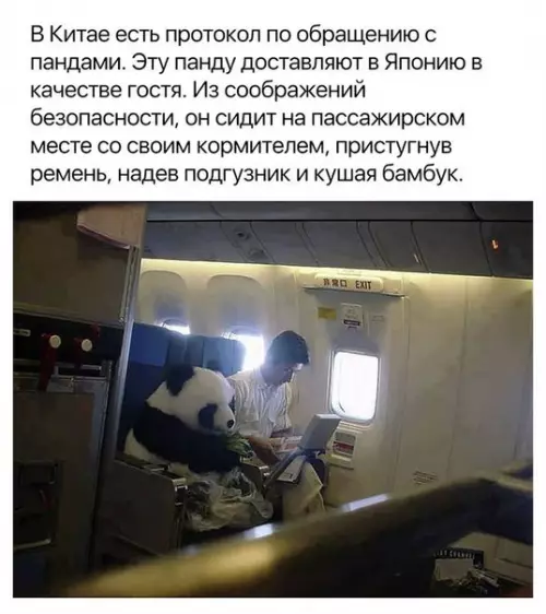 Смешная картинка №257491