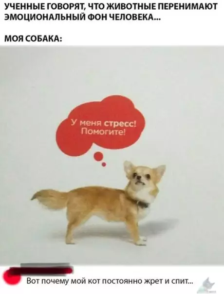 Смешная картинка №318147