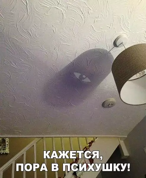 Смешная картинка №244784