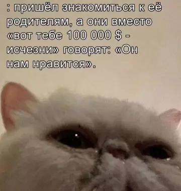 Смешная картинка №762781