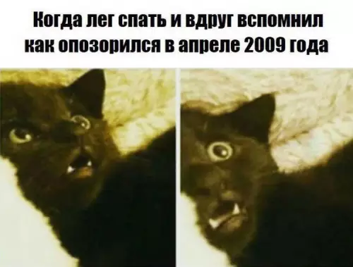Смешная картинка №215169