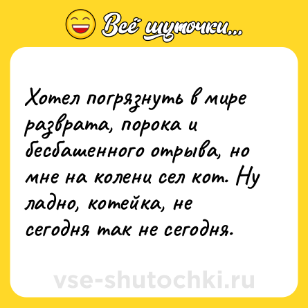 Шутка: Хотел погрязнуть в мире разврата, порока и бесбашенного отрыва, но мне на колени сел кот. Ну ладно, котейка, не сегодня так не сегодня.