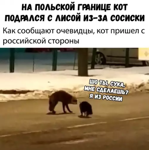 Смешная картинка №325271