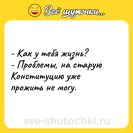 Шутка: - Как у тебя жизнь?<br>- Проблемы, на старую Конституцию уже прожить не могу.