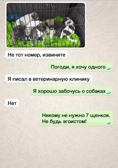 Смешная картинка №545994 Зaбaвныe cлyчaйнocти Переписка