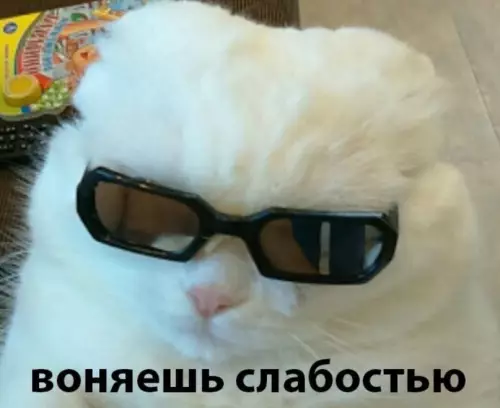 продолжение Смешная картинка №599546 В Москве замечен человек, который не смог выдержать и выбросил новогоднюю ёлку в сентябре Елка, новый год